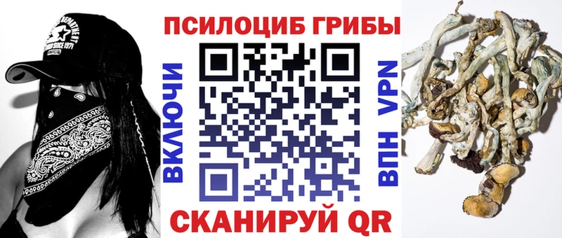 МЕГА как войти  Северская  Галлюциногенные грибы ЛСД 